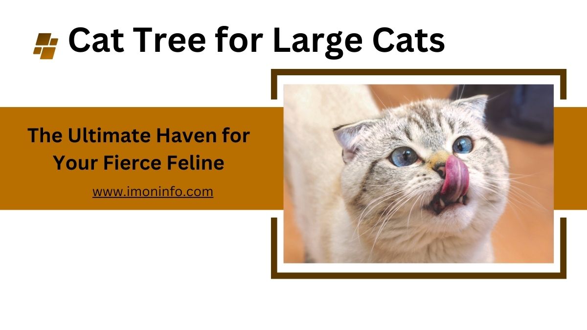 Cat Tree for Large Cats