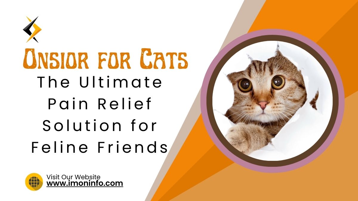 Onsior for Cats The Ultimate Pain Relief Solution for Feline Friends