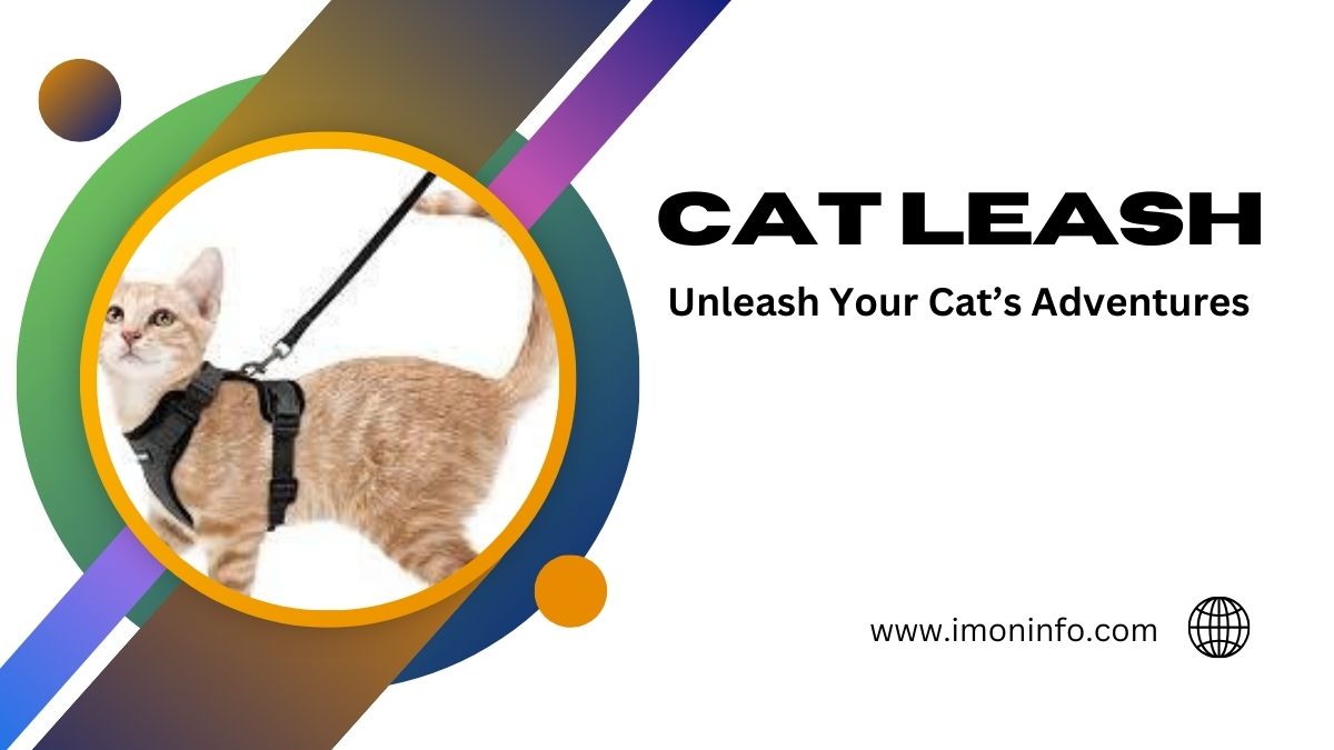 Cat Leash Unleash Your Cat's Adventures